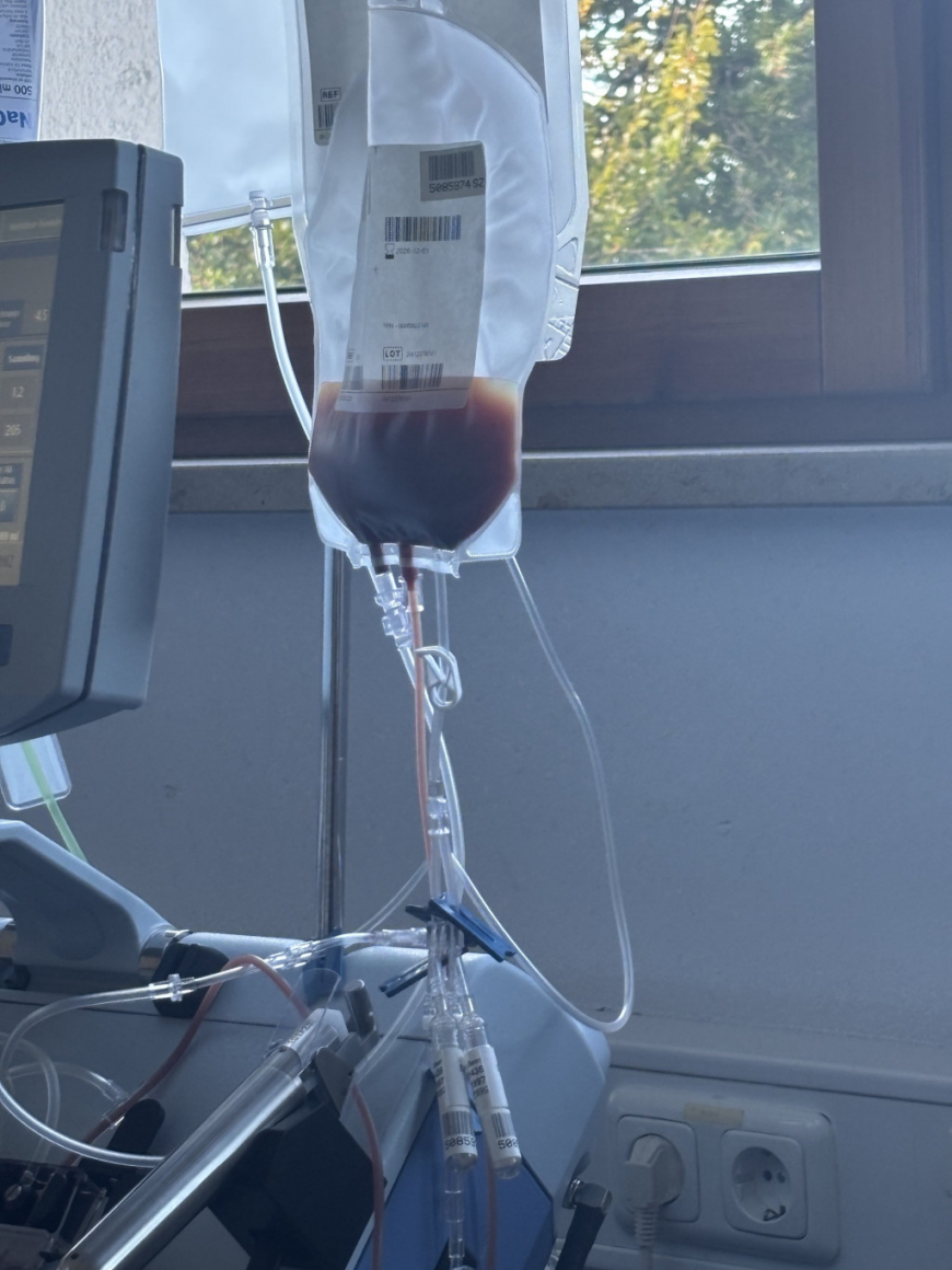 'Unser 766. Stammzellspender ist Martin aus Munderfing - Oberösterreich'-Bild-1