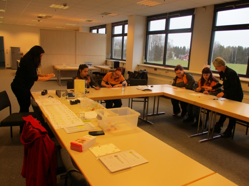 'Firmentypisierung Hornbach bringt 46 Neuaufnahmen'-Bild-2