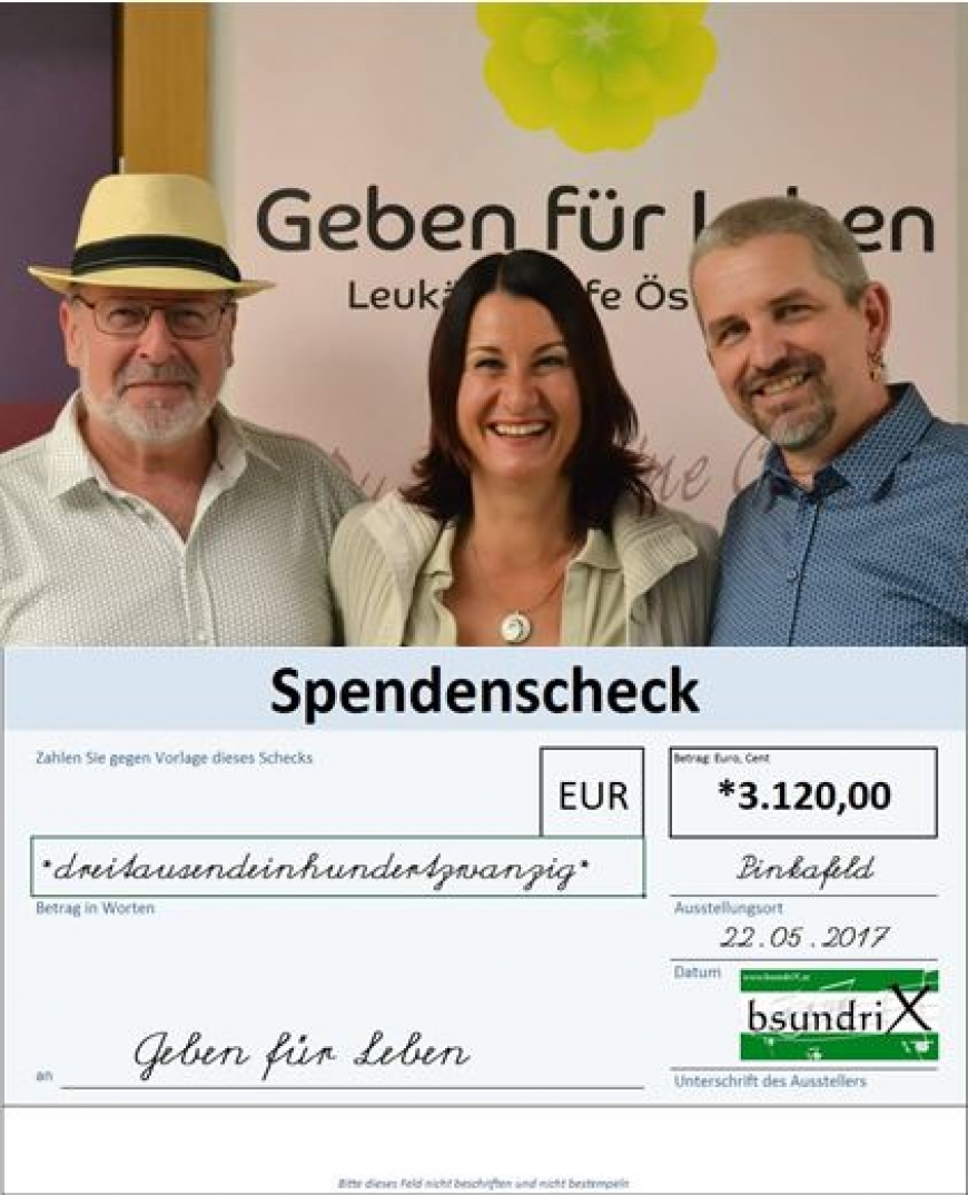 'Großartige Konzerte in Bludenz und Pinkafeld bringen tolles Spendenergebnis'-Bild-16