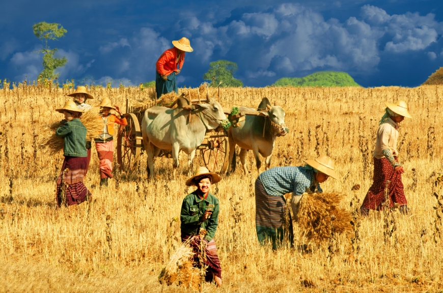 'Mehrfacher Foto-Landesmeister zeigt fantastische Reise durch Burma'-Bild-4