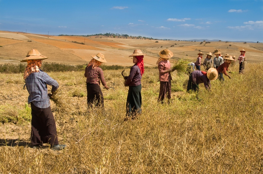 'Mehrfacher Foto-Landesmeister zeigt fantastische Reise durch Burma'-Bild-8