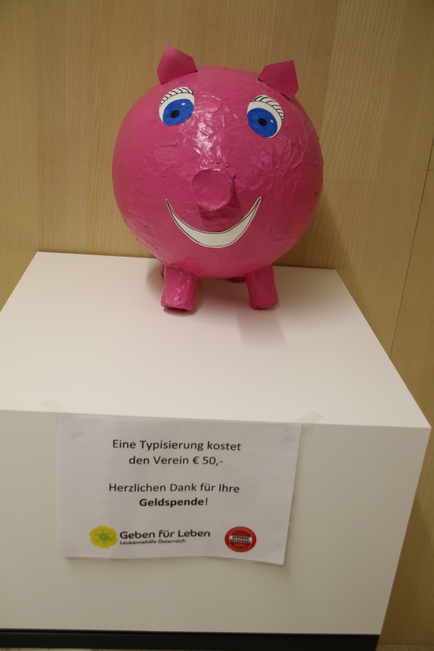 '99 Neutypisierungen und € 362,- an Spenden bei Maturaprojekt Marienberg'-Bild-19