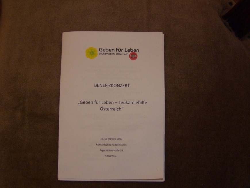 'Großartige Nachwuchskünstler begeistern das Publikum für einen guten Zweck'-Bild-4