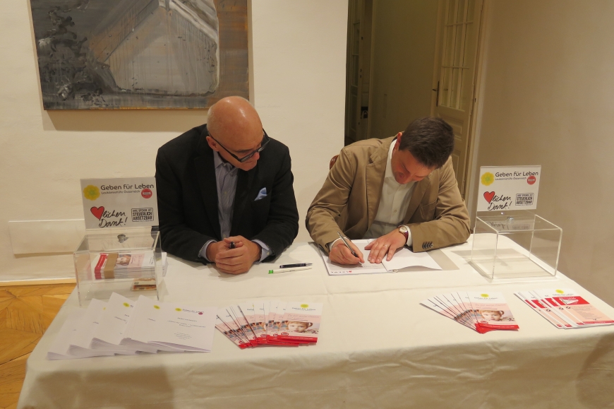 'Großartige Nachwuchskünstler begeistern das Publikum für einen guten Zweck'-Bild-11