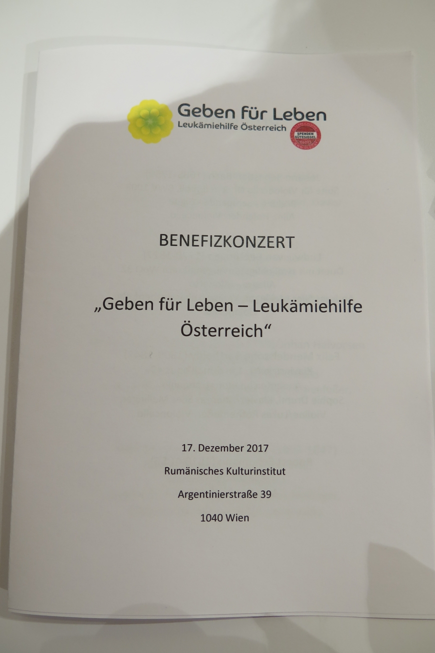 'Großartige Nachwuchskünstler begeistern das Publikum für einen guten Zweck'-Bild-18