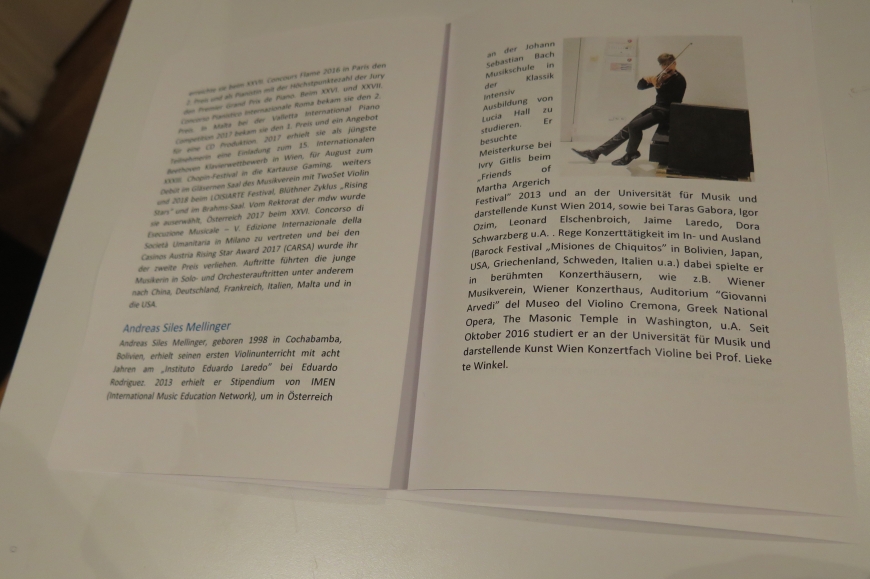 'Großartige Nachwuchskünstler begeistern das Publikum für einen guten Zweck'-Bild-21