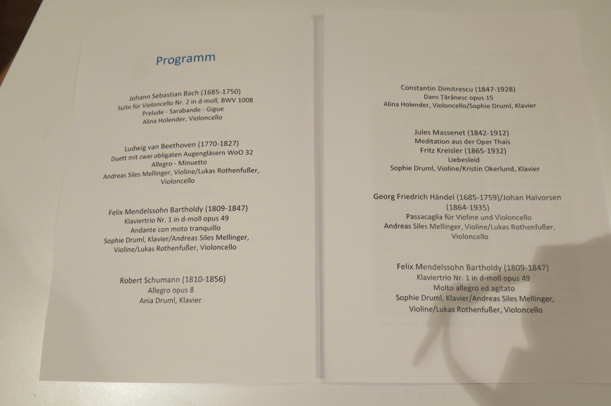 'Großartige Nachwuchskünstler begeistern das Publikum für einen guten Zweck'-Bild-22