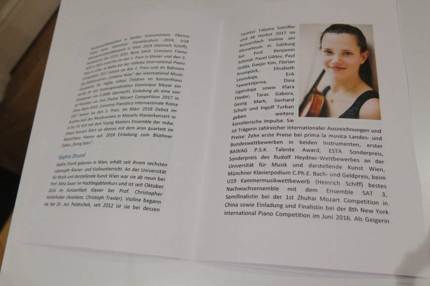 'Großartige Nachwuchskünstler begeistern das Publikum für einen guten Zweck'-Bild-23