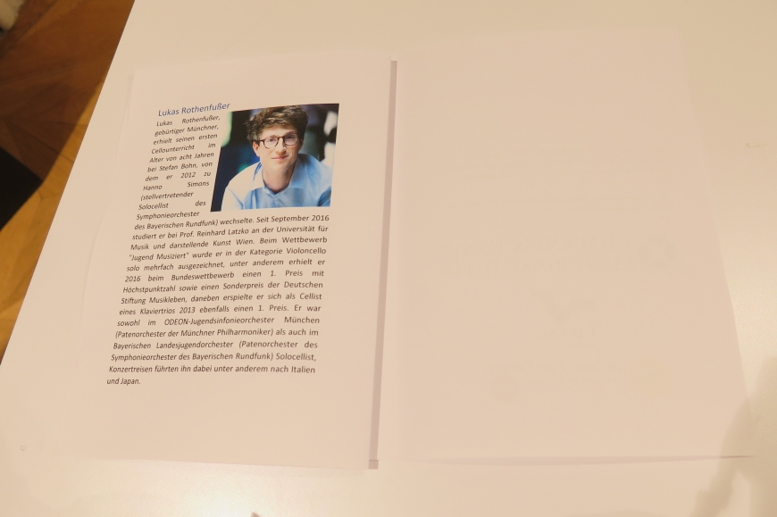 'Großartige Nachwuchskünstler begeistern das Publikum für einen guten Zweck'-Bild-24