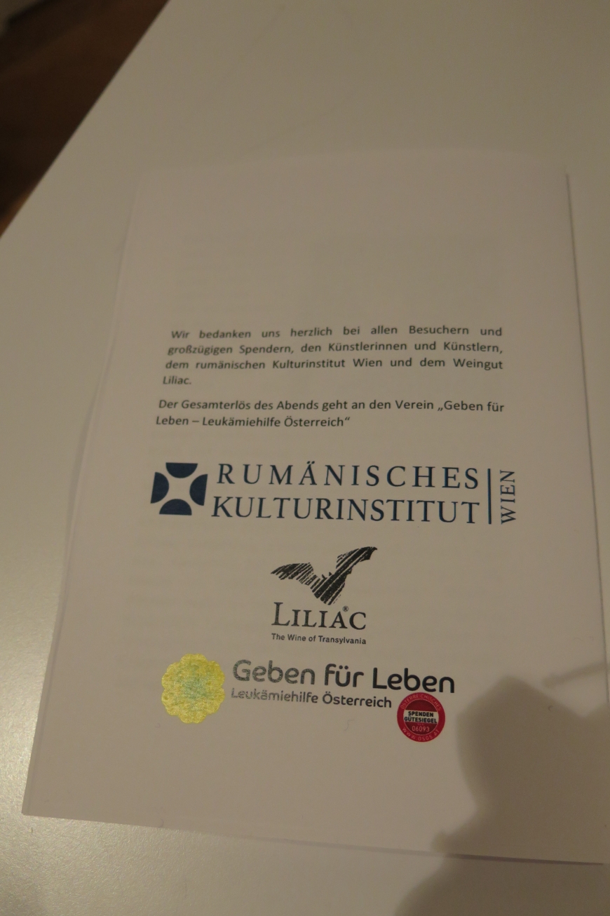 'Großartige Nachwuchskünstler begeistern das Publikum für einen guten Zweck'-Bild-25