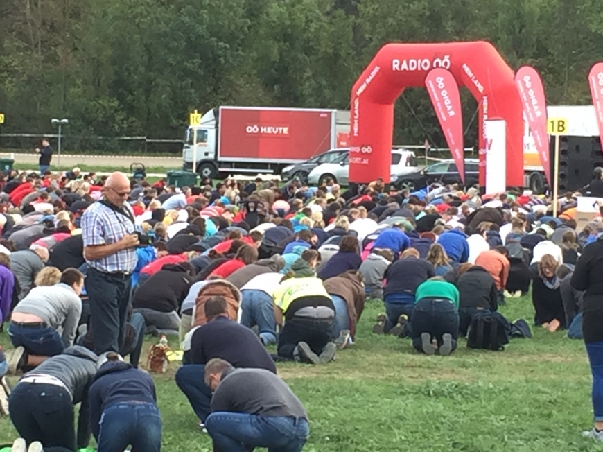 'Große Typisierungsaktion auf der Trabrennbahn in Wels'-Bild-3