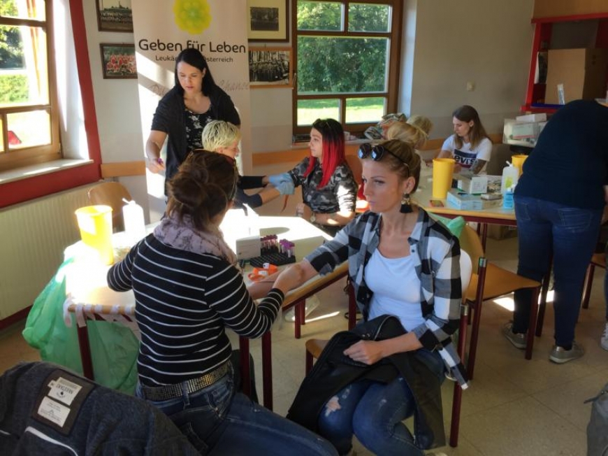 'Typisierungsaktion in der Steiermark mit toller Unterstützung'-Bild-1