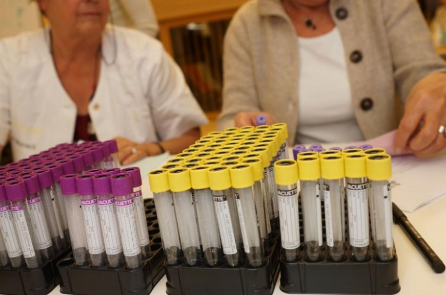 'D´Wälder engagieren sich für Leukämiekranke!'-Bild-18