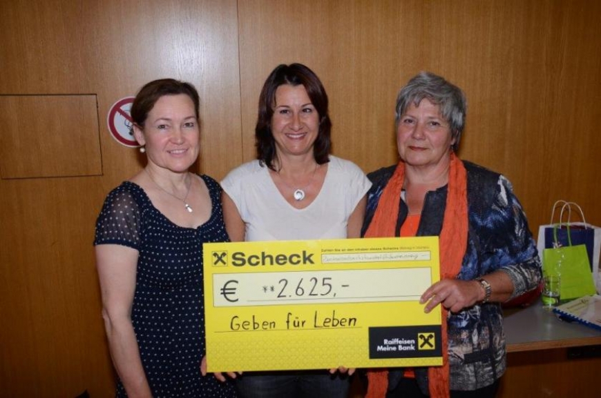 'Bildsteiner Chor spendet durch Benefizkonzert € 2.625,-!'-Bild-1